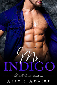 Mr. Indigo